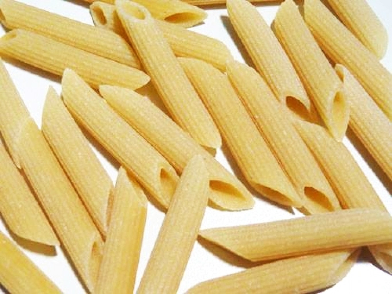 penne rigate saragolla (1)